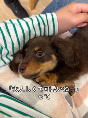 うにくんのお迎え前後のギャップ2