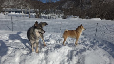 仲良し