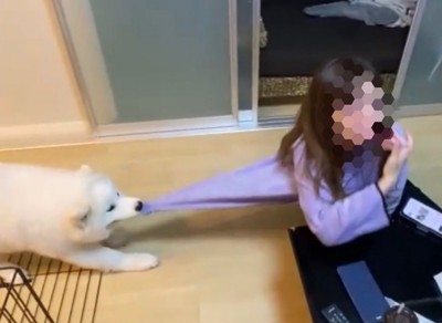 構ってほしい