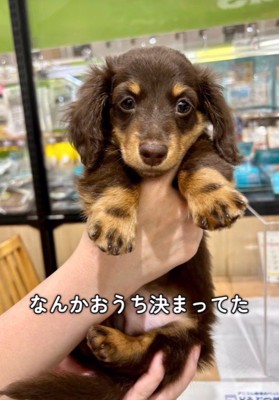 うにくんのお迎え前後のギャップ3