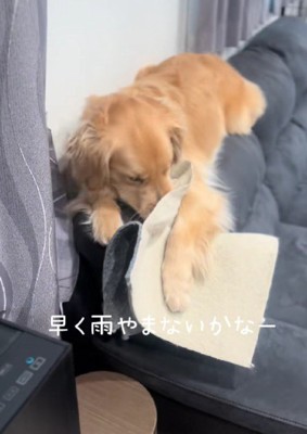 豪快なぱんちゃんにクスッ