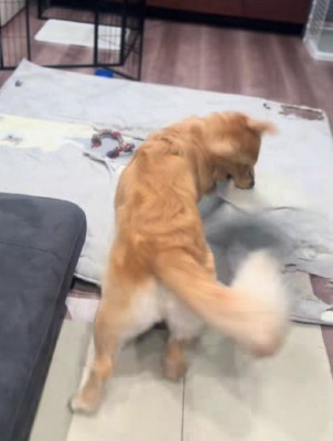 マットに八つ当たり！！