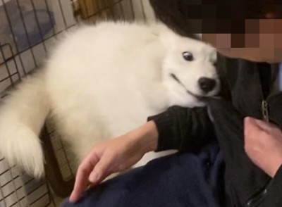 ポケット