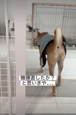一体どこへ？