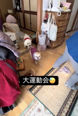 ダダダッ！