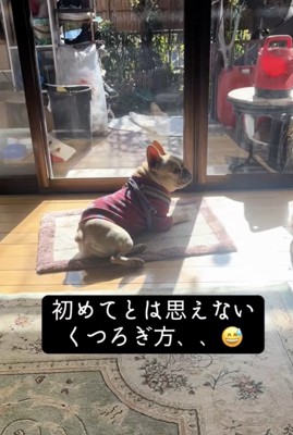 まったり…