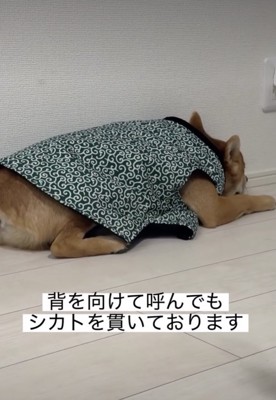 背中で不満を語ります