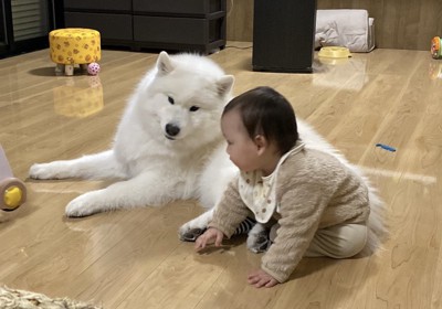 弟