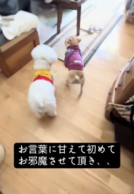 仲良しの2匹