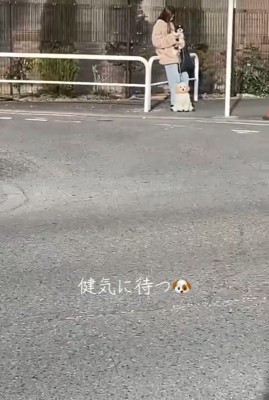 飼い主さんを待つでんでん君
