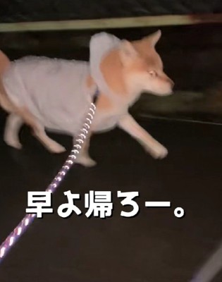 このときだけの特別なオシャレ！