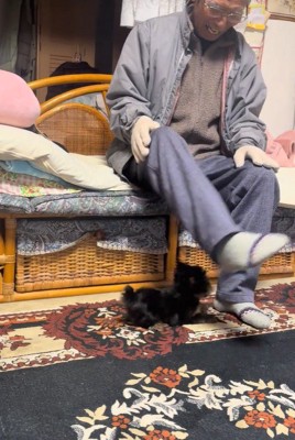 くぅちゃんとおじいちゃん