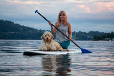 パドルボードに乗る犬と女性
