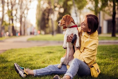 視線を合わせようとしない犬