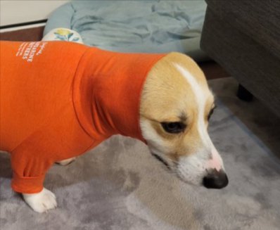 解せぬ