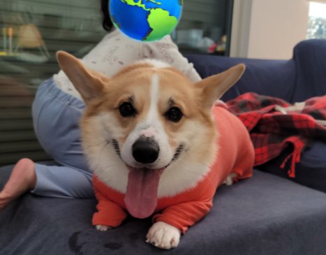 ニコニコ