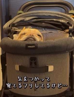 「寝てるふりしとくか」