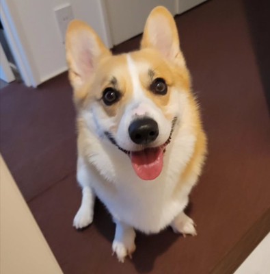 笑顔