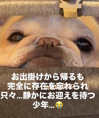 「でもそろそろ出してね…?」