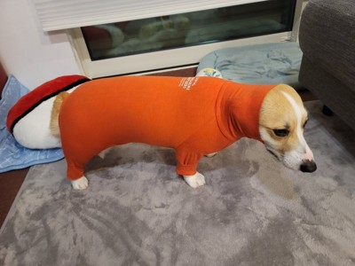 ピチピチ