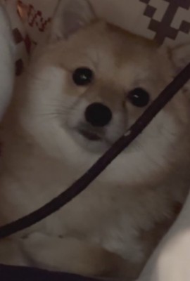 「まさか見てないよね…？」