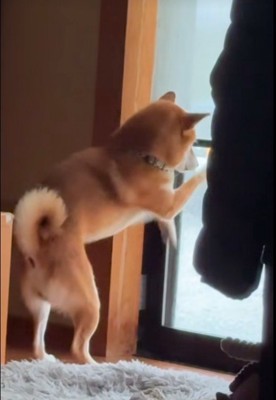 リクくんにハプニング発生2