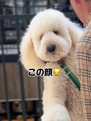 「うむうむ…」