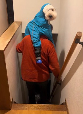 「ほらね」