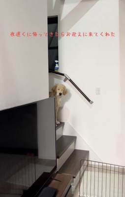 半分寝てる…