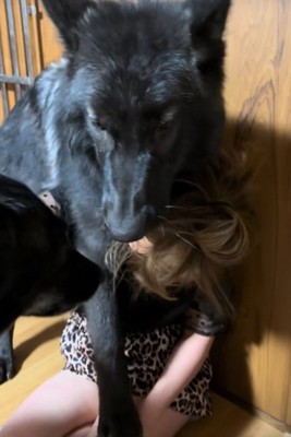 子犬とは思えぬ大きさです!