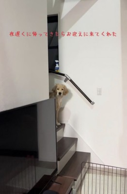 起きてきた