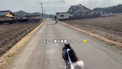 「僕も！！」