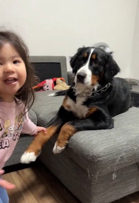 飼い主さんに訴える娘さん