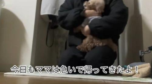 ちびちゃんのお出迎え4