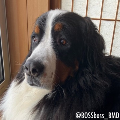 きょとん
