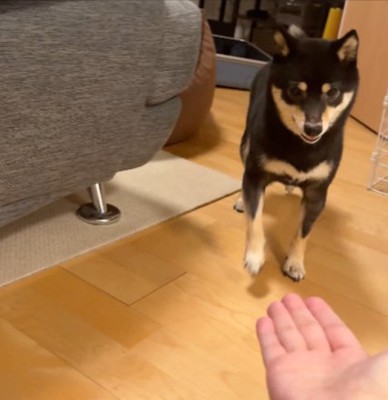 グルン