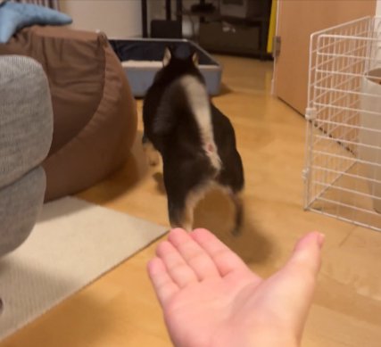 おて