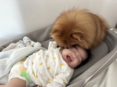 0歳の弟