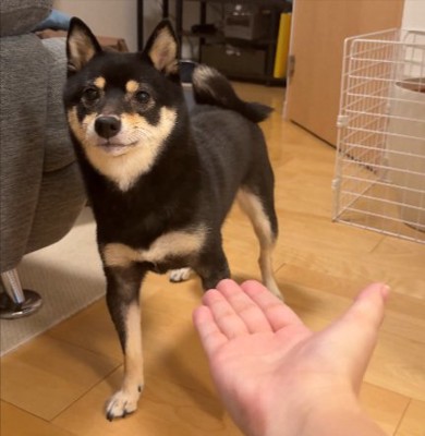 まさかの