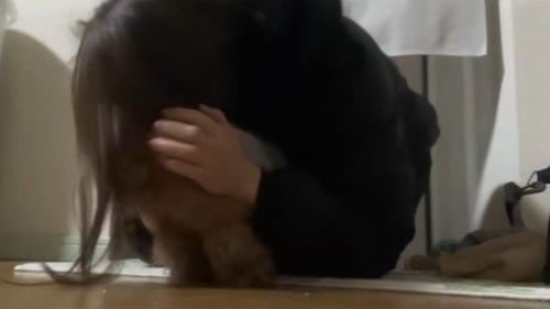 ちびちゃんのお出迎え7