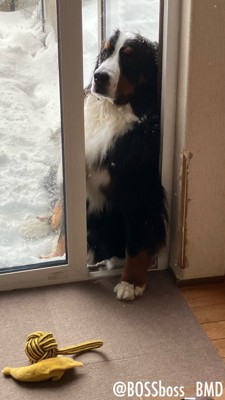 半分だけ