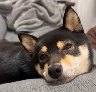 眠たい