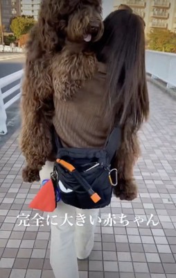 甘えん坊炸裂