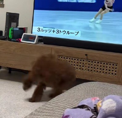 「自分もできる！！」