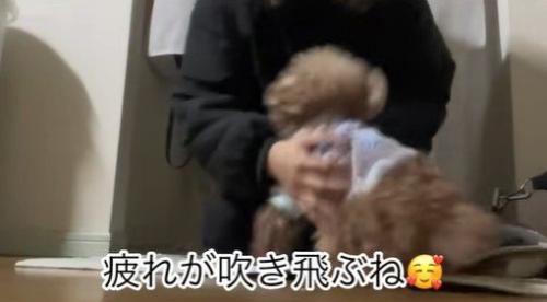 ちびちゃんのお出迎え9