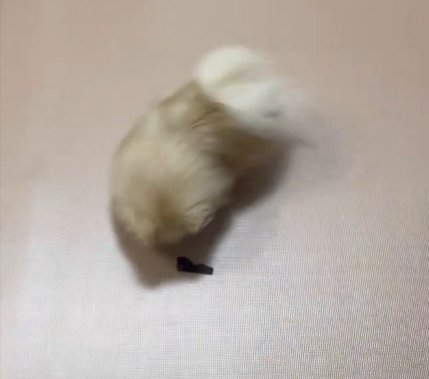 バランス
