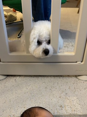 いつでも
