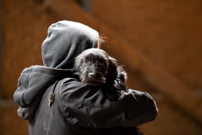 犬を抱える不審人物