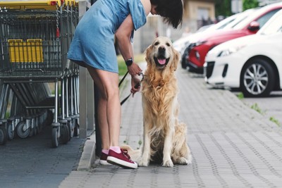 店先に繋がれた犬のリードを解く女性
