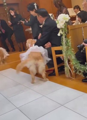 「パパここにいたの!!」
